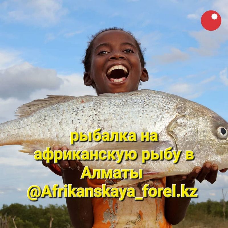 Рыбалка на деньги — лучшие онлайн-игры с возможностью вывода средств